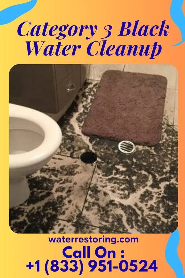 Category 3 Black Water Cleanup in Victoria, KS