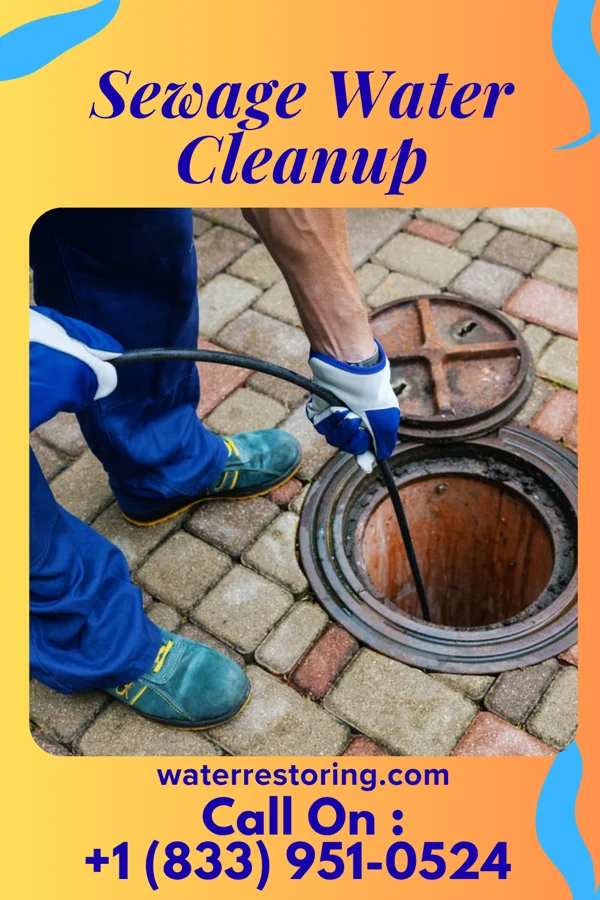 Sewage Water Cleanup in Victoria, KS